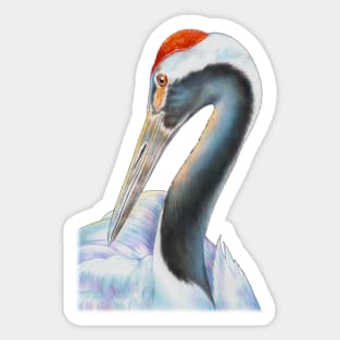 Red Crowned Crane Sticker